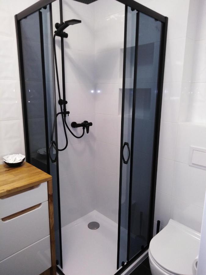 Apartament Joanna Sanok Exteriér fotografie